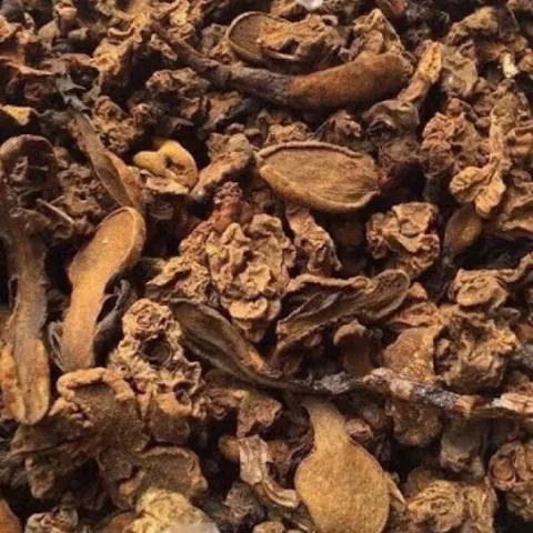 1Kg Nấm Ngọc Cẩu Khô Tự Nhiên – Thảo Dược Rừng Tây Bắc, Dùng Ngâm Tửu, Bồi Bổ Cơ Thể Nam Giới