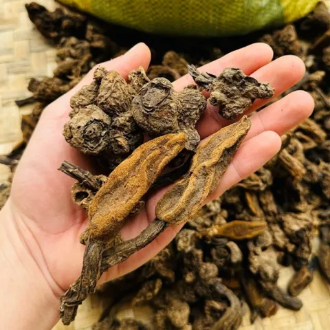 1Kg Nấm Ngọc Cẩu Khô Tự Nhiên – Thảo Dược Rừng Tây Bắc, Dùng Ngâm Tửu, Bồi Bổ Cơ Thể Nam Giới