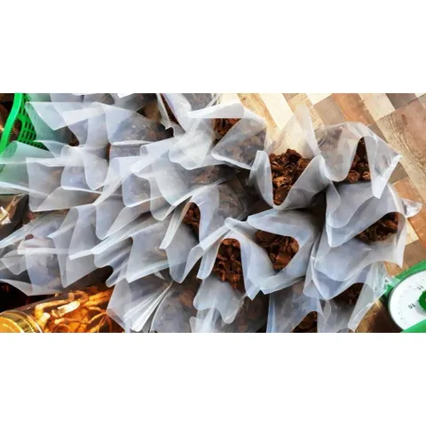 1Kg Nấm Ngọc Cẩu Khô Tự Nhiên – Thảo Dược Rừng Tây Bắc, Dùng Ngâm Tửu, Bồi Bổ Cơ Thể Nam Giới