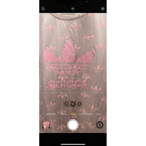 Ao thun Pull DAS hồng chất đẹp 💥 Hàng Thái nhập về Giá 150k Hàng có sẵn giao ngay
