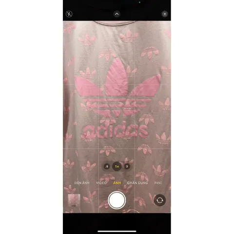 Ao thun Pull DAS hồng chất đẹp 💥 Hàng Thái nhập về Giá 150k Hàng có sẵn giao ngay