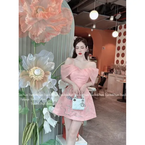 Đầm đính kết cao cấp Hàng y hình chụp Giá 390k Hàng có sẵn giao ngay Có màu hồng và kem