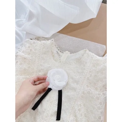hàng 2 lớp, váy chất dạ dày dặn, may lót mềm mại phối ống tay tơ nhũ cao cấp, phần ren bèo phối trước ngực cũng là ren