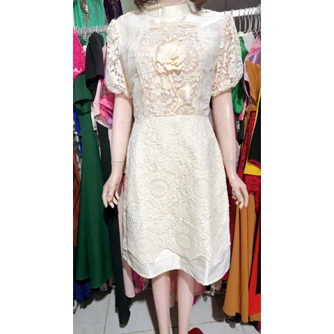 Đầm ren đính hoa nổi siêu đẹp Hàng có sẵn giao ngay Eo dưới 74cm mặc đẹp Size SM Màu kem Đúp lót 2 lớp