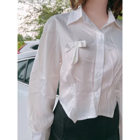 Áo Sơ Mi Nữ Phong Cách Hàn Quốc Đính Nơ Ngực Chất Vải Cao Cấp Không Nhăn  Hàng siêu cấp Giá 220k/ áo sơ mi