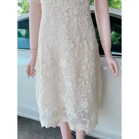 Đầm ren cao cấp Có đủ size tới XL Giá 390k