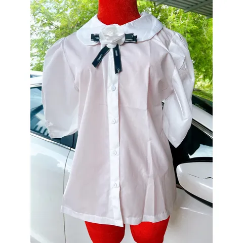 Áo kiểu đính hoa chất lụa xịn mềm mát dễ đồ phối chân váy hoặc quần  Giá 190k Hàng có sẵn giao ngay
