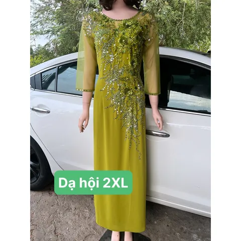 Đầm dạ hội áo dài bên trong đã có váy nên không cần mua thêm quần  Hàng đính kết siêu đẹp Giá 600k/ cái 🍒Hàng thêu tỉ mỉ
