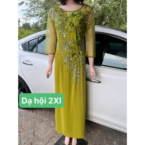 Đầm dạ hội áo dài bên trong đã có váy nên không cần mua thêm quần  Hàng đính kết siêu đẹp Giá 600k/ cái 🍒Hàng thêu tỉ mỉ