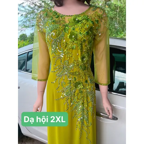 Đầm dạ hội áo dài bên trong đã có váy nên không cần mua thêm quần  Hàng đính kết siêu đẹp Giá 600k/ cái 🍒Hàng thêu tỉ mỉ