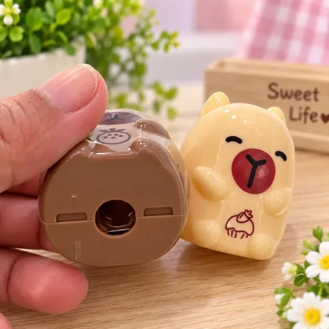 Combo 03 chuốt bút chì hình capybara siêu đáng yêu