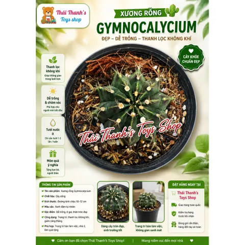 Cây Xương Rồng Gymnocalycium Đẹp - Dễ Trồng - Thanh Lọc Không Khí Kích Thước 10-12cm