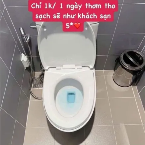 Lọ Thả Bồn Cầu Siêu Tiện Lợi Khử Mùi Diệt KhuẩnThơm Tho Sạch Sẽ NGHIỆN NHÀ