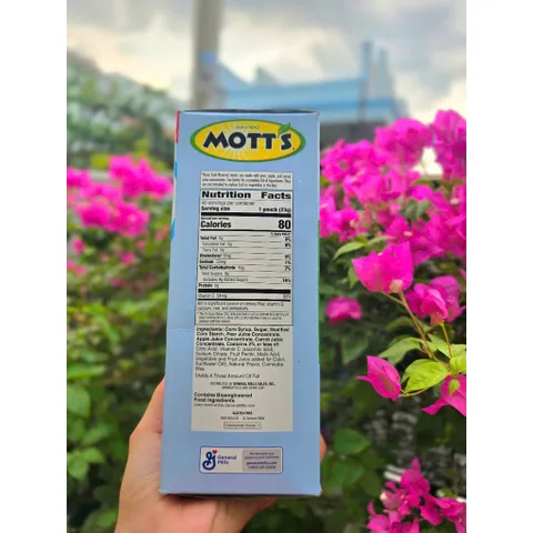 Kẹo dẻo Mỹ Mott's Fruit Flavored Snack 40 gói 907g chính hãng mỹ