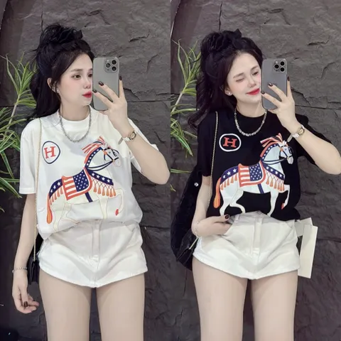Áo thun form rộng nữ ngựa chữ H hottrend 2026 nhiêu màu nam nữ  unisex cotton đl 260gsm