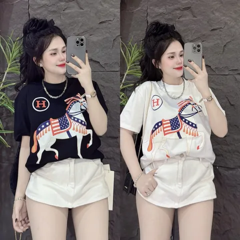 Áo thun form rộng nữ ngựa chữ H hottrend 2026 nhiêu màu nam nữ  unisex cotton đl 260gsm