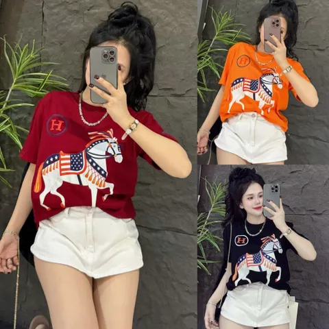 Áo thun form rộng nữ ngựa chữ H hottrend 2026 nhiêu màu nam nữ  unisex cotton đl 260gsm