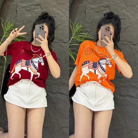 Áo thun form rộng nữ ngựa chữ H hottrend 2026 nhiêu màu nam nữ  unisex cotton đl 260gsm