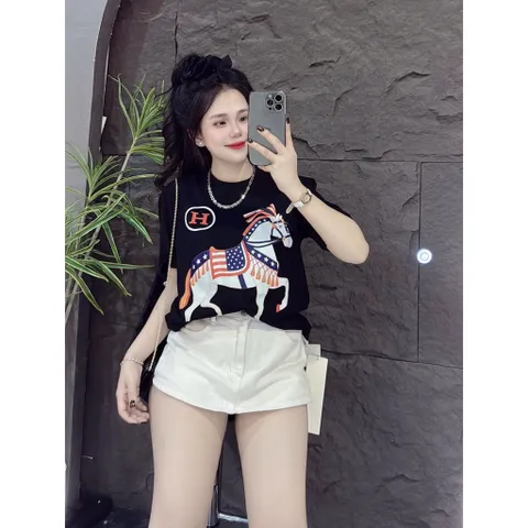 Áo thun form rộng nữ ngựa chữ H hottrend 2026 nhiêu màu nam nữ  unisex cotton đl 260gsm