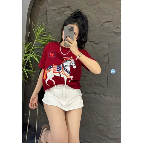 Áo thun form rộng nữ ngựa chữ H hottrend 2026 nhiêu màu nam nữ  unisex cotton đl 260gsm