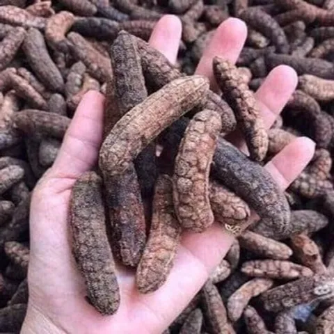 Chuối Hột Rừng Khô Thái Lát - Chuối Hột Rừng Sấy Khô, Loại Đẹp, Hàng Sỉ 5kg 10kg