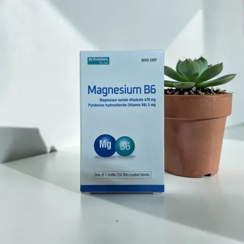 Magnesium B6 , đóng gói hộp chứa lọ 250 viên BV