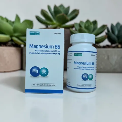 Magnesium B6 , đóng gói hộp chứa lọ 250 viên BV