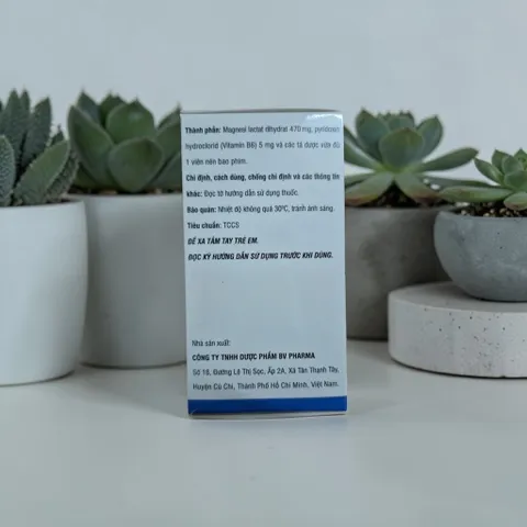 Magnesium B6 , đóng gói hộp chứa lọ 250 viên BV