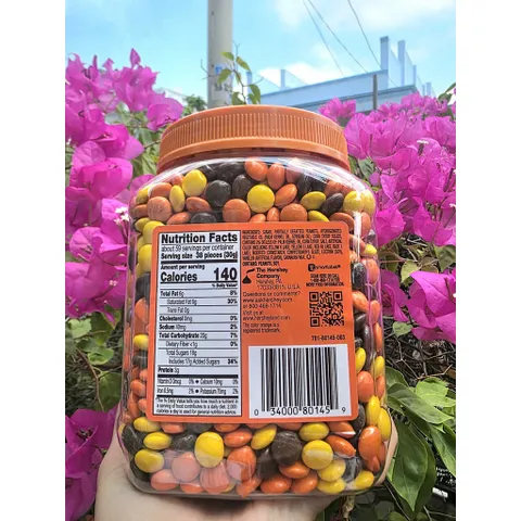 Reese’s Pieces Kẹo Socola Nhân Bơ Đậu Phộng Hũ Lớn 1.75kg Xuất Xứ Mỹ Date Xa