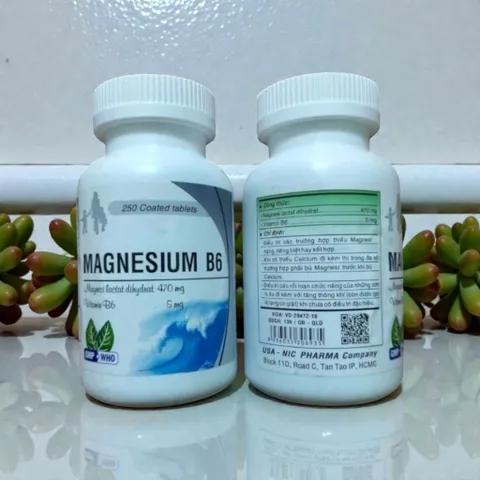 Lọ 250 viên Magnesium B6 cung cấp magie b6