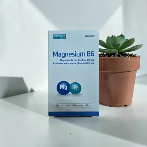 Magnesium B6 , đóng gói hộp chứa lọ 250 viên của BV