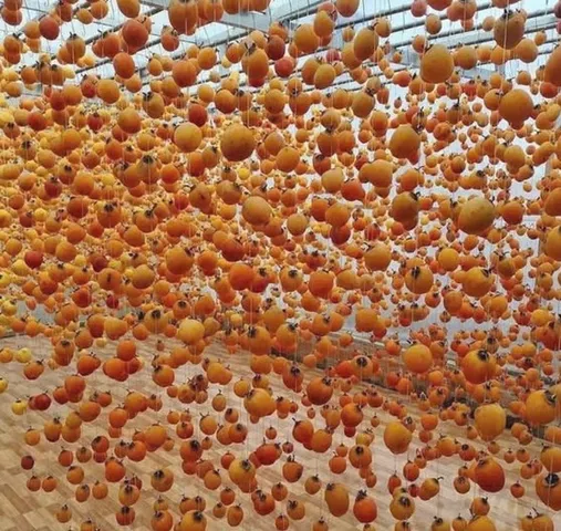 ? Hồng treo gió Đà Lạt chính hãng 500g, dẻo thơm, ngọt thanh tự nhiên, chuẩn vị cao cấp