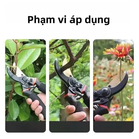 Kéo Cắt Cây Của Nhật SK5 , Kéo Cắt Cành Trên Cao , Cành Cây Khô Thép Cắt Sắc nét, Tay Cầm Bọt Biển Thoải Mái Dễ Chịu