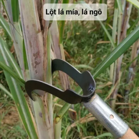 Liềm lóc lá mía hai lưỡi cong sắc bén, lưỡi bén dày dặn
