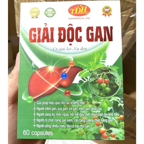Giải độc gan Cà Gai leo Xạ Đen TDH Bổ gan cà gai leo giúp mát gan ,hạ men gan, tăng cường chức năng gan gan nhiễm mỡ, m