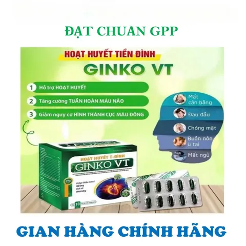 HOẠT HUYẾT T-ĐÌNH GINKO VT -GIÚP TĂNG CƯỜNG TUẦN HOÀN MÁU NÃO-GIẢM ĐAU ĐẦU-HOA MẮT-CHÓNG MẶT-MẤT NGỦ