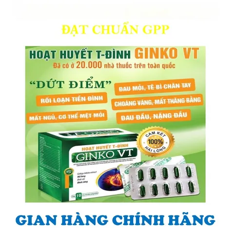 HOẠT HUYẾT T-ĐÌNH GINKO VT -GIÚP TĂNG CƯỜNG TUẦN HOÀN MÁU NÃO-GIẢM ĐAU ĐẦU-HOA MẮT-CHÓNG MẶT-MẤT NGỦ