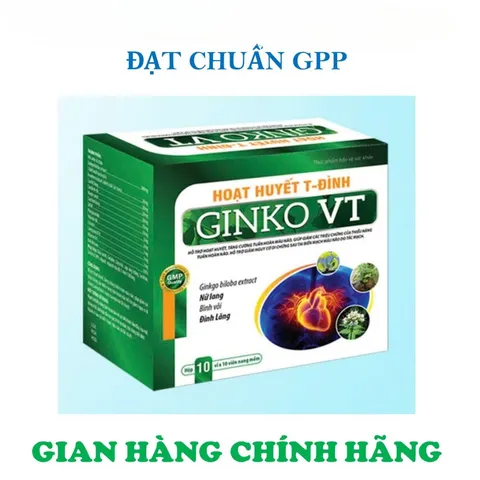 HOẠT HUYẾT T-ĐÌNH GINKO VT -GIÚP TĂNG CƯỜNG TUẦN HOÀN MÁU NÃO-GIẢM ĐAU ĐẦU-HOA MẮT-CHÓNG MẶT-MẤT NGỦ