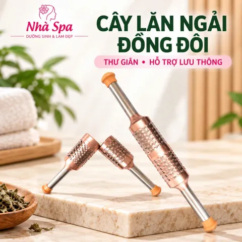 Cây Lăn Ngải Đồng Đôi Chính Hãng Chất Lượng Cao-