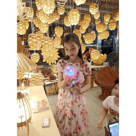 Chụp đèn gỗ trang trí ,Chụp đèn gỗ thả trần,Chụp đèn gỗ quả  thông,Chụp đèn gỗ củ tỏi, đèn gỗ hình trụ và nhiều loại