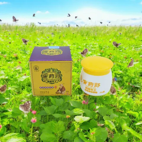 Hũ Kem bôi thảo mộc đa năng Ninh Yao Lang - chuyên vảy nến (Hàng cao cấp)