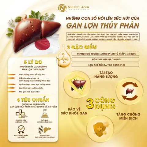 LIVER HYDROLYSATE PLUS 180 viên - Hỗ trợ bổ sung chiết xuất là actiso cho cơ thể, hỗ trợ tốt cho gan Nhật Bản