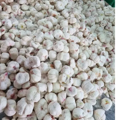 Măng Cụt Sấy Giòn , Công Nghệ Sấy Thăng Hoa