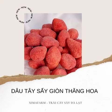 DÂU SẤY GIÒN ĐÀ LẠT | CÔNG NGHỆ SẤY THĂNG HOA