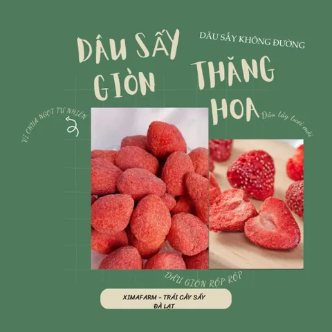 DÂU SẤY GIÒN ĐÀ LẠT | CÔNG NGHỆ SẤY THĂNG HOA