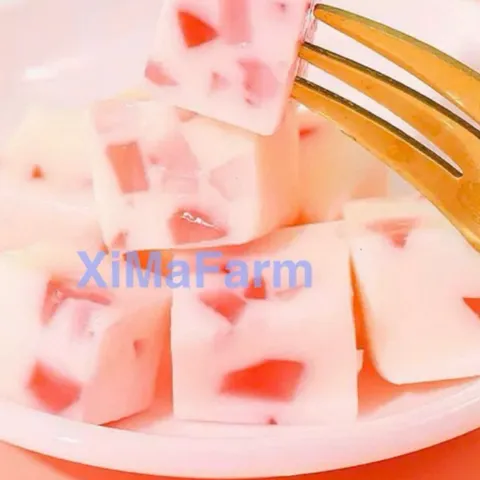Mix 4 Loại Sữa Chua Sấy Dẻo Vị Trái Cây Chua Chua Ngọt Ngọt - Ximafarm