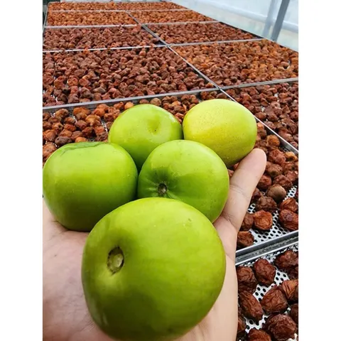 TÁO XANH NINH THUẬN SẤY DẺO ( Tặng Kèm Muối Tây Ninh)- XIMAFARM