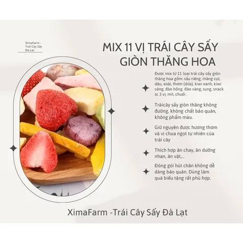 Mix 14 Loại Trái Cây Sấy Giòn Thăng Hoa Chua Ngọt | Công Nghệ Sấy Thăng Hoa