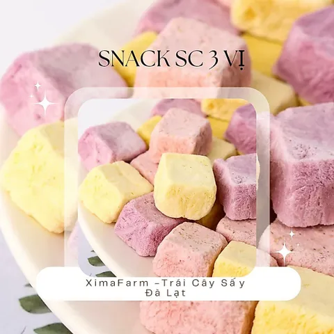 SỮA CHUA SẤY GIÒN MIX 3 VỊ TRÁI CÂY TỰ NHIÊN KHÔNG ĐƯỜNG THƠM NGON BỔ DƯỠNG | ĂN VẶT NHÀ DÂU