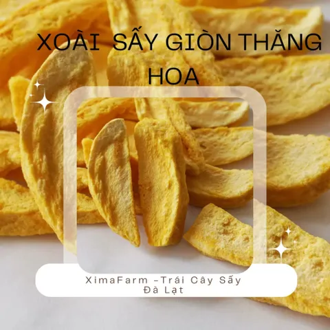Xoài Sấy Giòn Thăng Hoa Không Đường | Công Nghệ Sấy Thăng Hoa